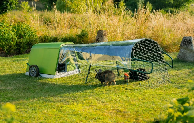 An Eglu Go Hutch in the garden with two rabbits in the run.