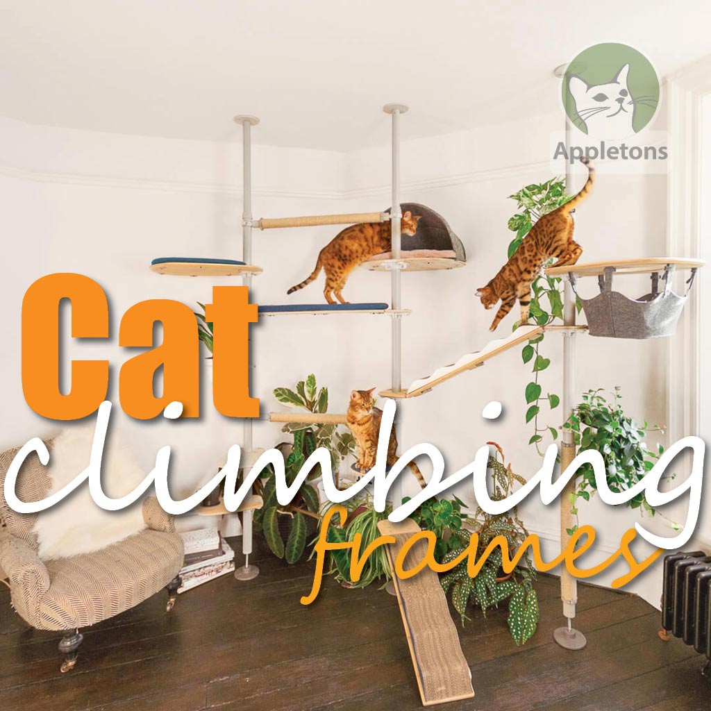Appletos blog, What Omlet Cat Tree Suits My Cat