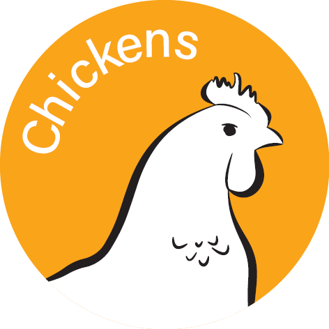 Appletons Animal&Product Icons ChickensOrange.png__PID:1721dc5a-0a67-4d06-ae24-7128ee2e7db6