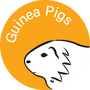 Appletons Animal&Product Icons GuineaPigOrange.png__PID:a9242200-3621-47e8-8888-eb49b8d26df7