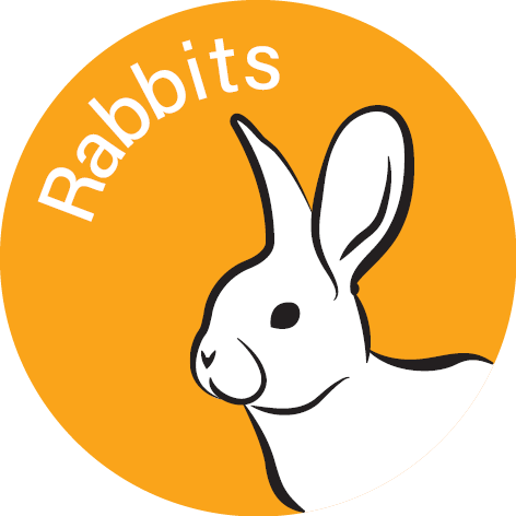 Appletons Animal&Product Icons RabbitsOrange.png__PID:9c63060f-73b8-4b5a-a657-488f59fa5c36