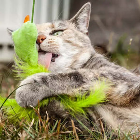 Cat-playing_with_a_toy_in_the_garden.jpg__PID:4b6fc740-db8d-4d26-bf9f-c01193d7b32b