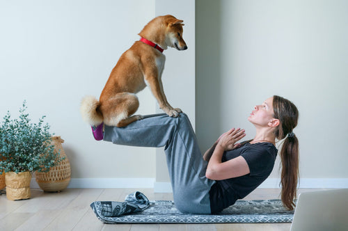 Doga is made for all types of dogs and can be especially useful for older dogs
