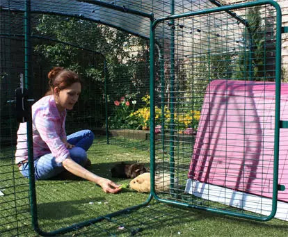 The Lo-Rise outdoor enclosure still has a large door which is easy to reach through and top up your pets hay rack and water bottle