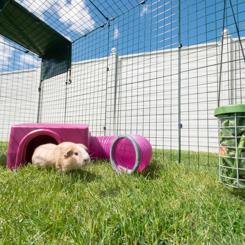 Give your pets a new and exciting way to exercise with Omlet Play Tunnels and Shelters