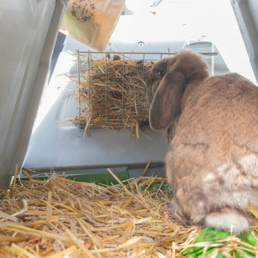 Putting hay in the dispenser ensures that it’s kept clean for your rabbit to eat