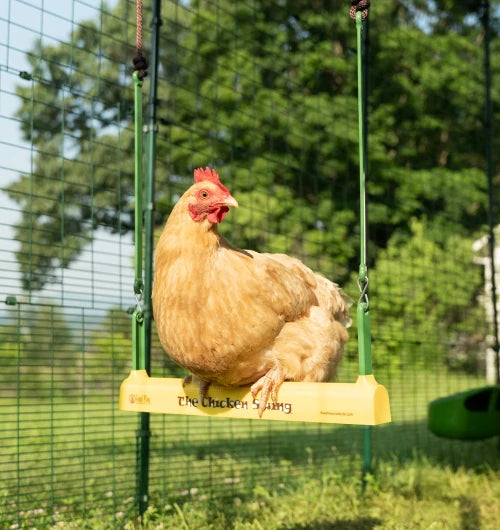accessorize-your-omlet-walk-in-run-with-a-chicken-swing-mb.webp__PID:effaafee-5120-4aa7-a192-aaab684bc2e9