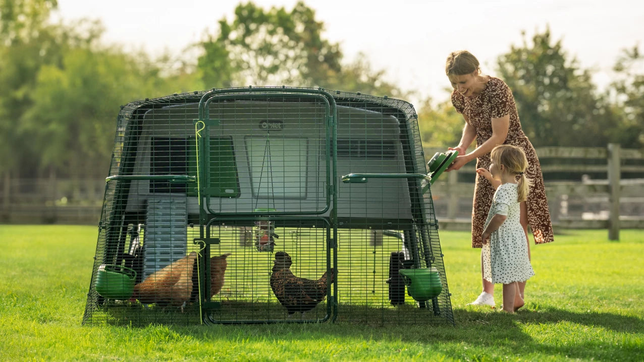 The whole family can enjoy caring for the flock