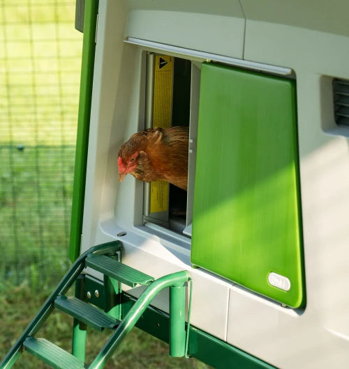 automatic chicken coop door by omlet the safety sensors prevent the door from closing