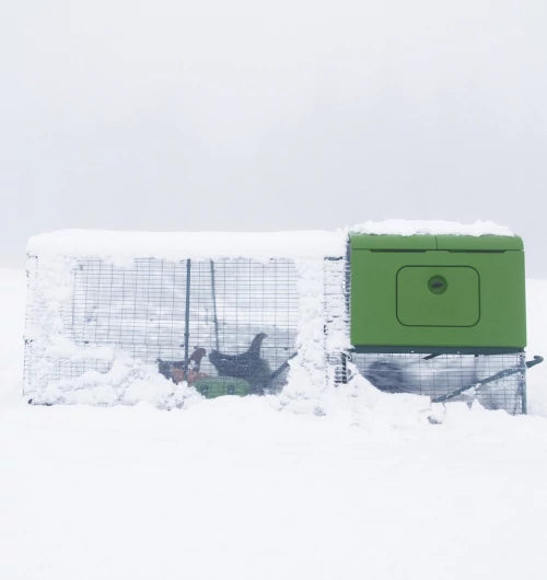 automatic chicken coop door by omlet works in all weather conditions