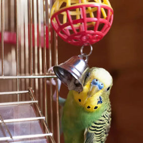 Budgie Bells