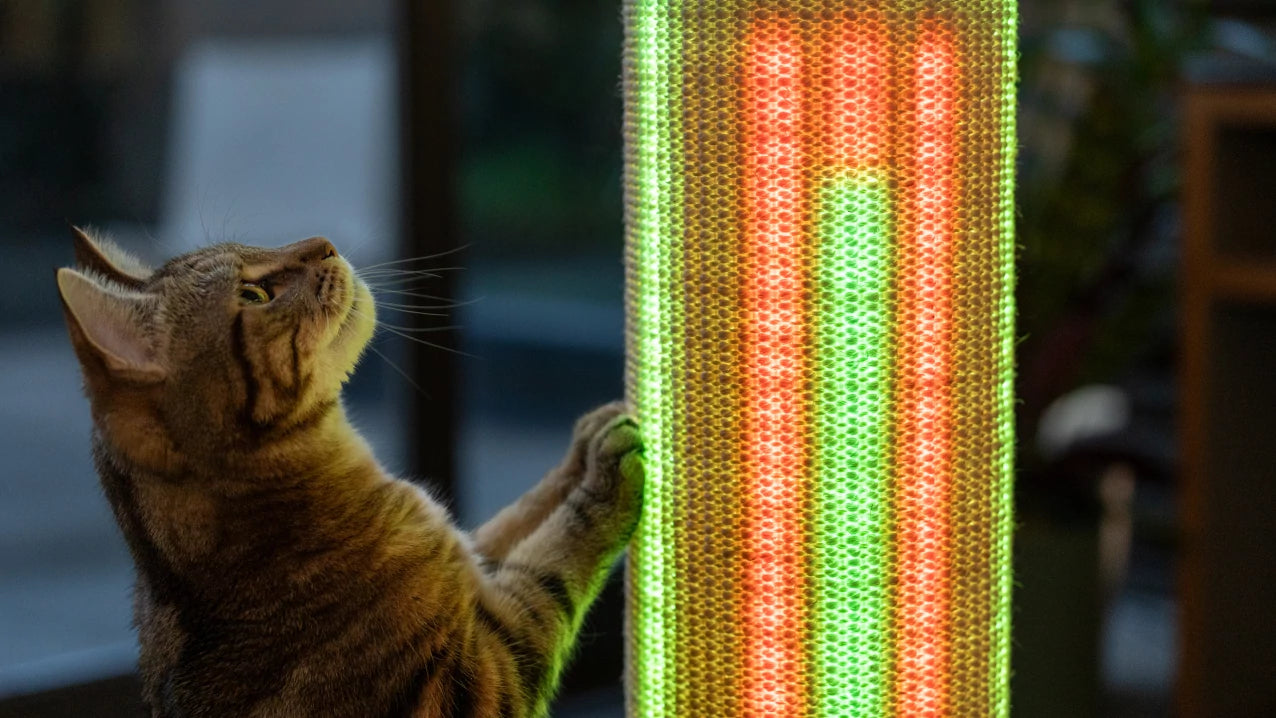 Mesmerize your cat with a taller stronger sturdier Switch Light Up LED Cat Scratching Post