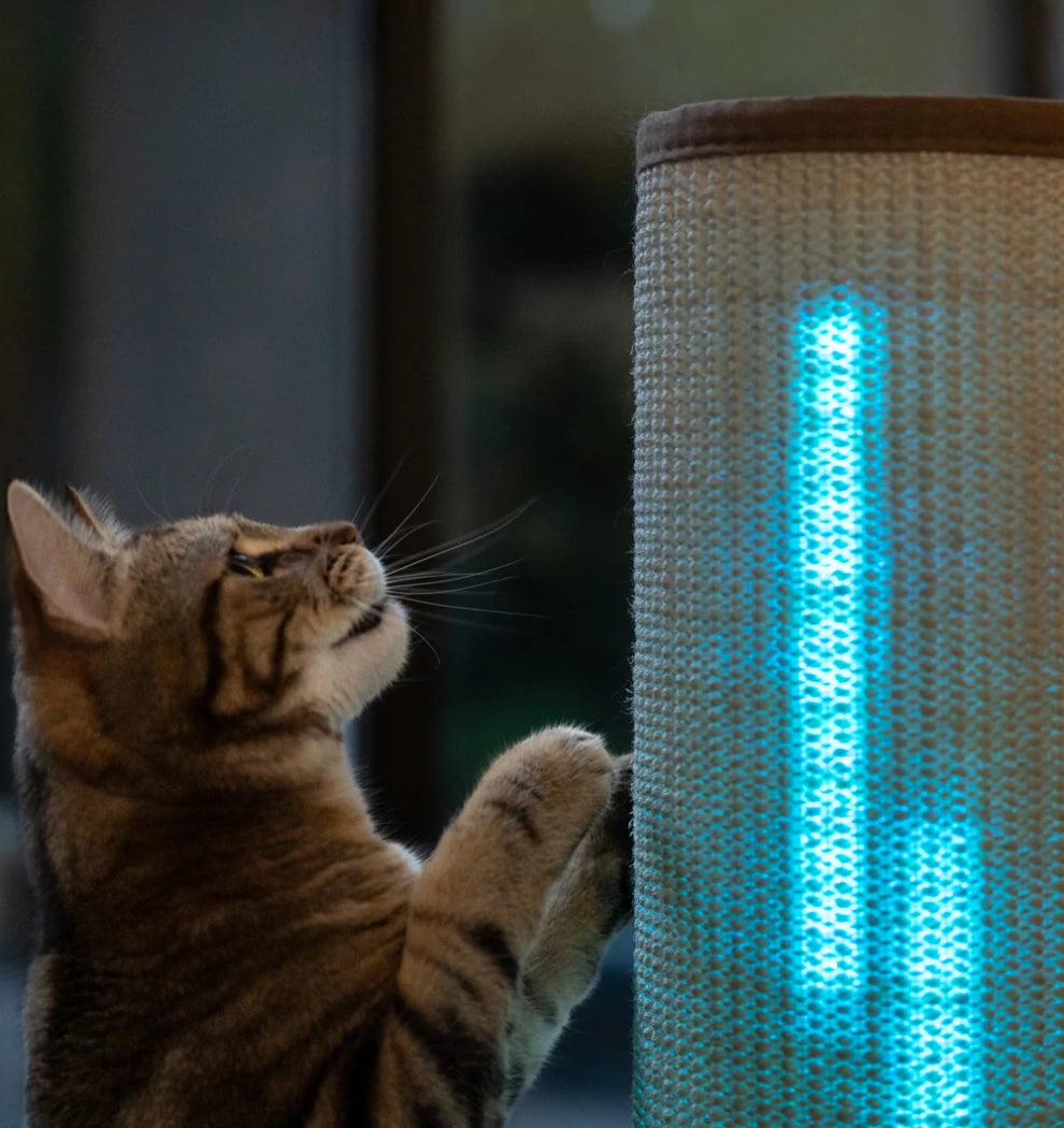 Mesmerize your cat. Switch Cat Scratching Post