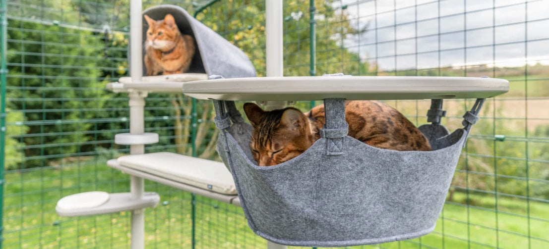 Take your feline friend to new heights of fun with the Freestyle Outdoor Cat Tree