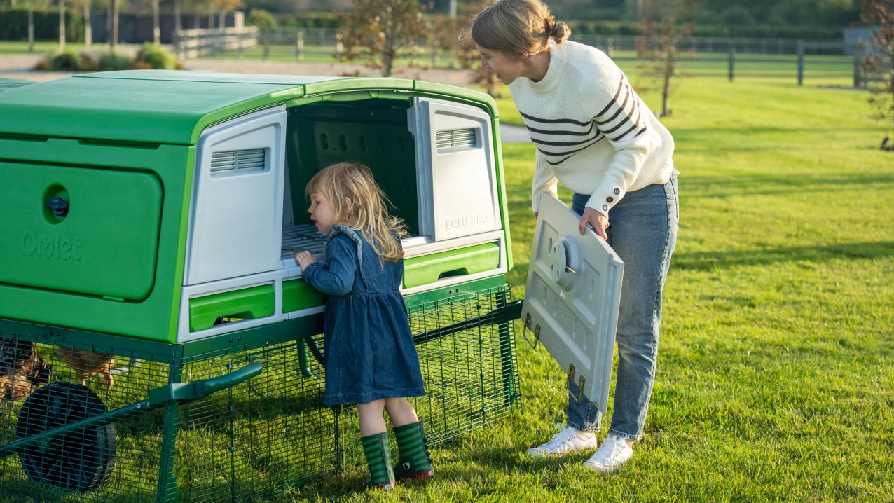 Children will love to feel part of your chicken keeping