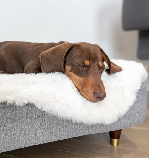 comfortable-and-supportive-topology-dog-bed-with-soft-sheepskin-topper-by-omlet