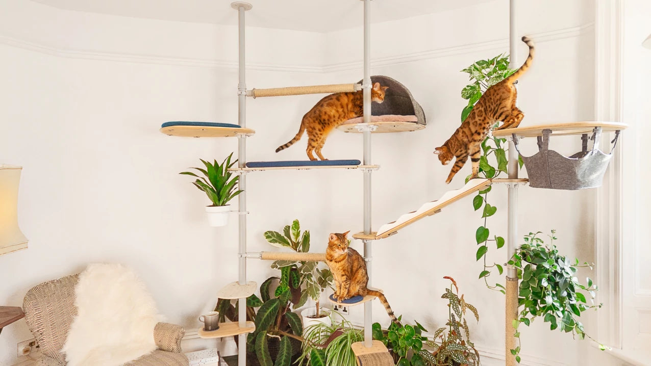 customisable-cat-tree-can-transform-your-home-dc.webp__PID:a4907486-caea-4bc6-a7ee-060a2bd0e7fc