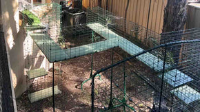 customize your catio tunnel set-up to suit your space