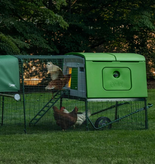 eglu cube by omlet the autodoor can be programmed by time or light levels