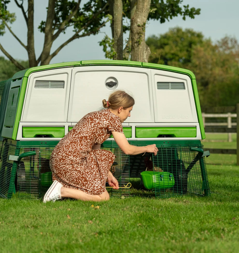 eglu pro easy access with doors under the coop