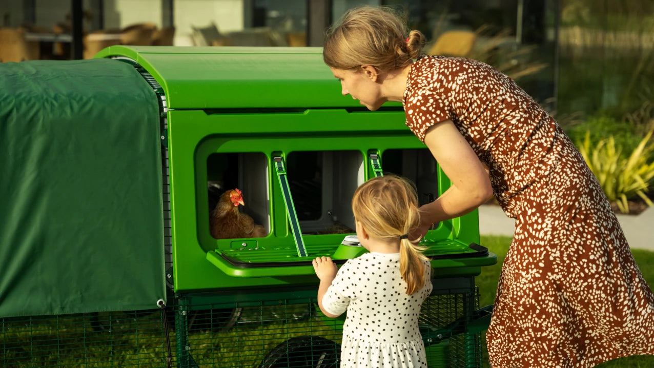 Eglu Pro has three nest box compartments