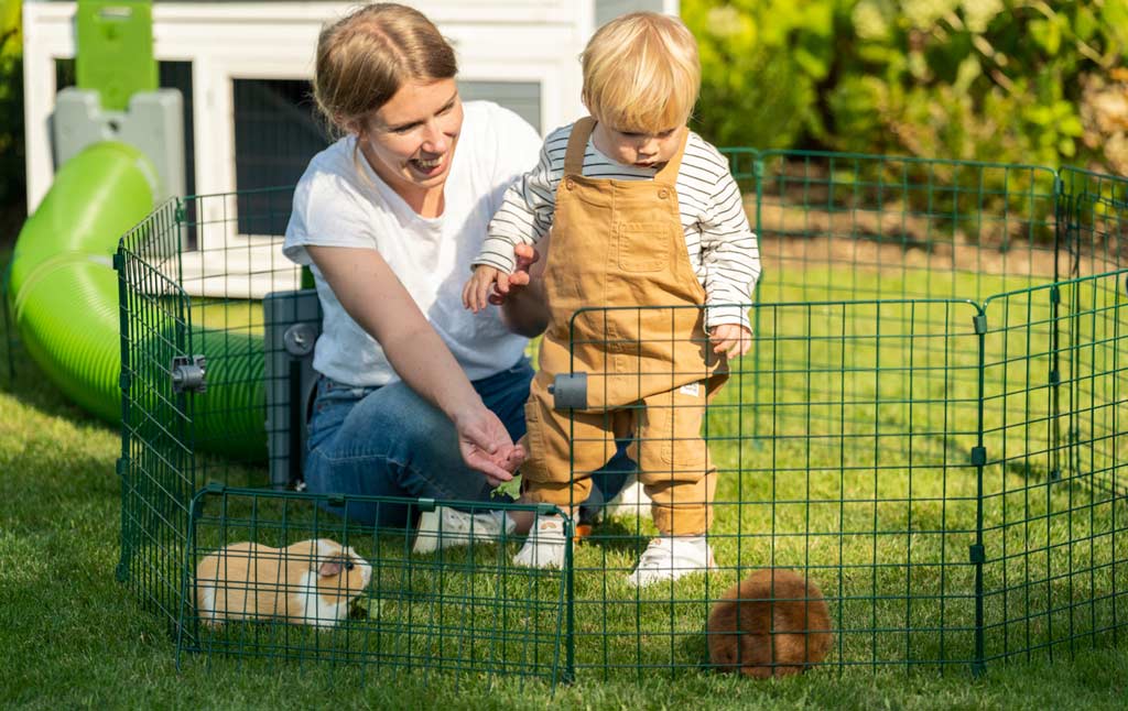 The Zippi rabbit playpen is an open style exercise and play space which provides easy access for children and adult pet owners