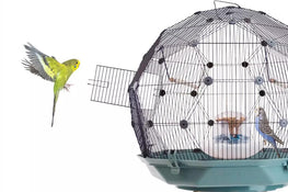 geo-bird-cage-with-yellow-budgie.jpg__PID:1e62e72c-5351-41a6-a3c8-2932d4af8d44