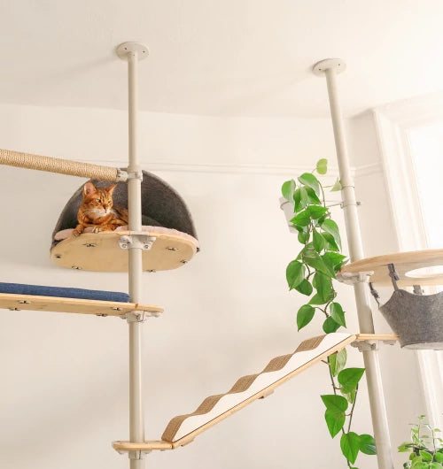 indoor-cat-tree-by-omlet-customise-your-tree-for-confident-or-nervous-climbers-mbnew.webp__PID:558e41e7-8c21-496e-ab9a-a9e890051f2a