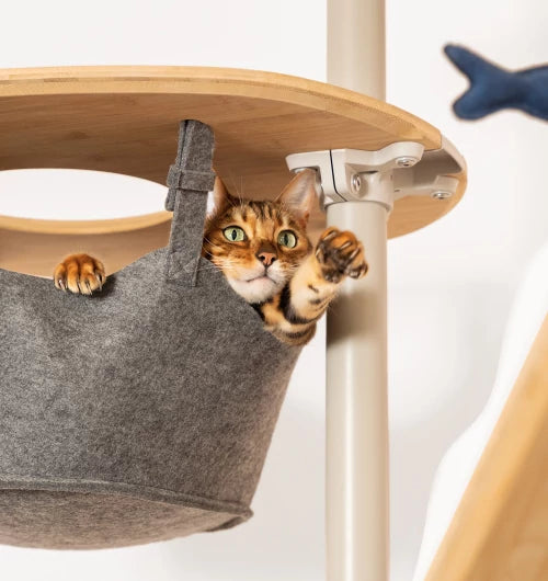 indoor-cat-tree-by-omlet-is-made-of-strong-and-durable-materials-mbnew.webp__PID:bd33fb8a-27f0-45a7-af0b-396203a19311