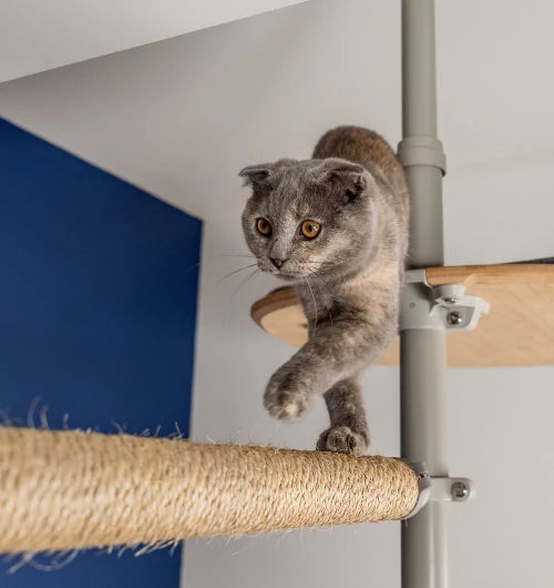 indoor-cat-tree-by-omlet-the-sisal-scratching-post-will-save-your-furniture-mbnew.webp__PID:33fb8a27-f035-472f-8b39-6203a19311d5