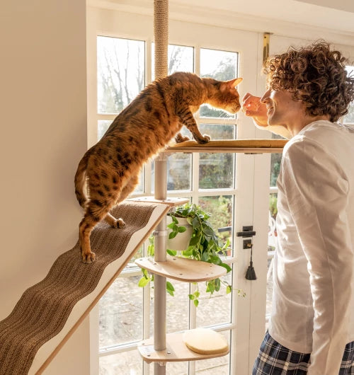 indoor-freestyle-cat-tree-by-omlet-can-be-adjusted-to-suit-your-cats-needs-mbnew.webp__PID:bce5adaa-7ab5-422d-bea2-982721da98f9