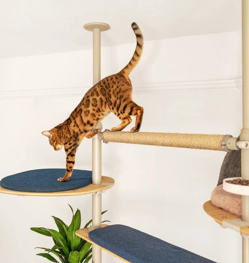 indoor-freestyle-cat-tree-by-omlet-can-be-easily-extended-mbnew.webp__PID:e6798c3a-5791-42c4-b96b-8088895afe71