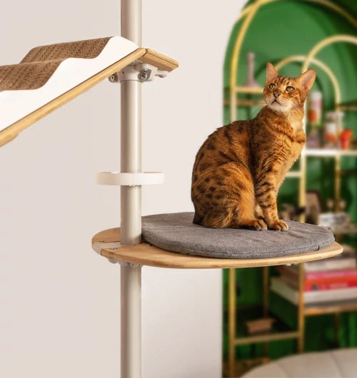 indoor-freestyle-cat-tree-by-omlet-comes-with-a-wide-range-of-amazing-accessories-mbnew.webp__PID:acc8056f-15b5-4c3c-9fb1-bcfae8180fe2