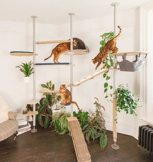 indoor-freestyle-cat-tree-by-omlet-enables-cats-to-jump-scratch-and-rest-in-a-natural-way-mbnew.webp__PID:8a27f035-a72f-4b39-a203-a19311d58e48