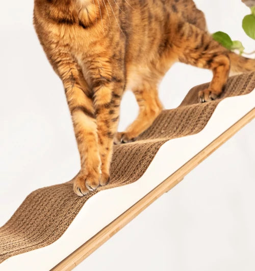 indoor-freestyle-cat-tree-by-omlet-encourages-sustainability-replace-scratching-accessories-mbnew.webp__PID:27f035a7-2f0b-4962-83a1-9311d58e487b