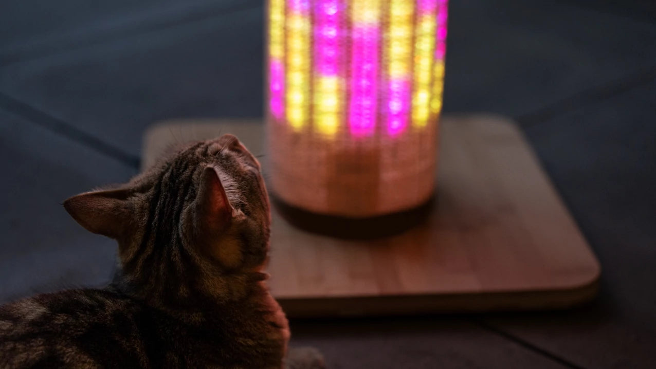 Hours of fun await you and your cat. Switch Light Up LED Cat Scratching Post