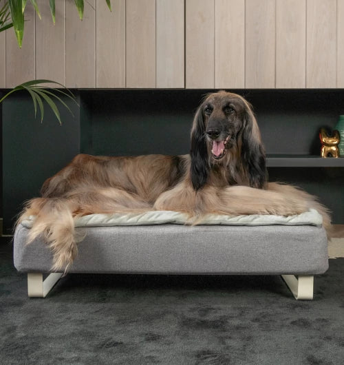 Topology raised dog bed perfect for all dogs.