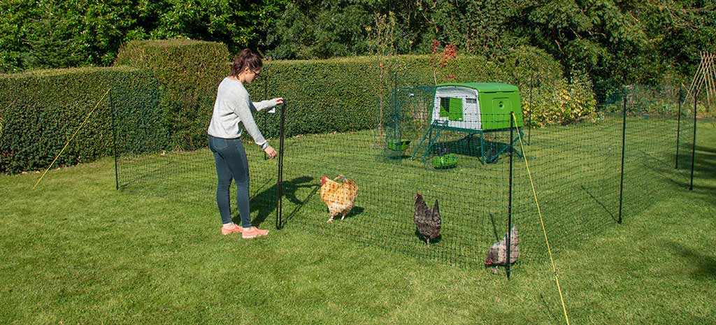 Chicken proof your garden with Omlets' flexible chicken fencing