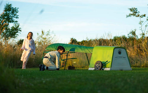 Omlet eglu go hutch with spacious guinea pig run