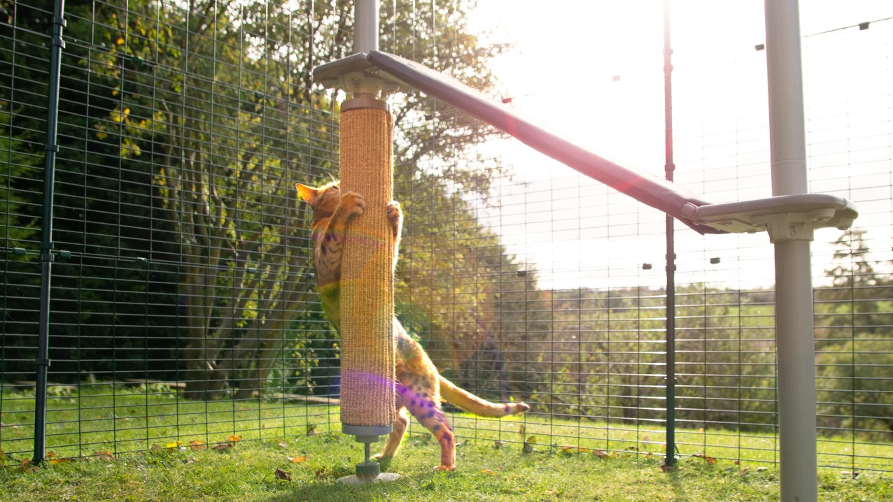 outdoor freestyle cat tree by omlet all scratching elements are replaceable and sustainable