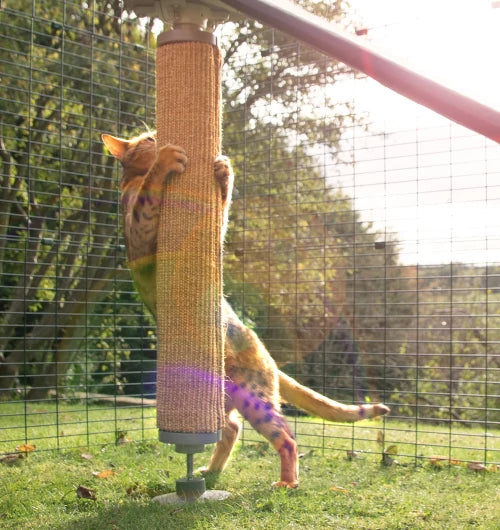 The Ultimate Feline Playground Build an adventure playground in the air with treetop walkways, lookout platforms and scratching posts and pads at every corner