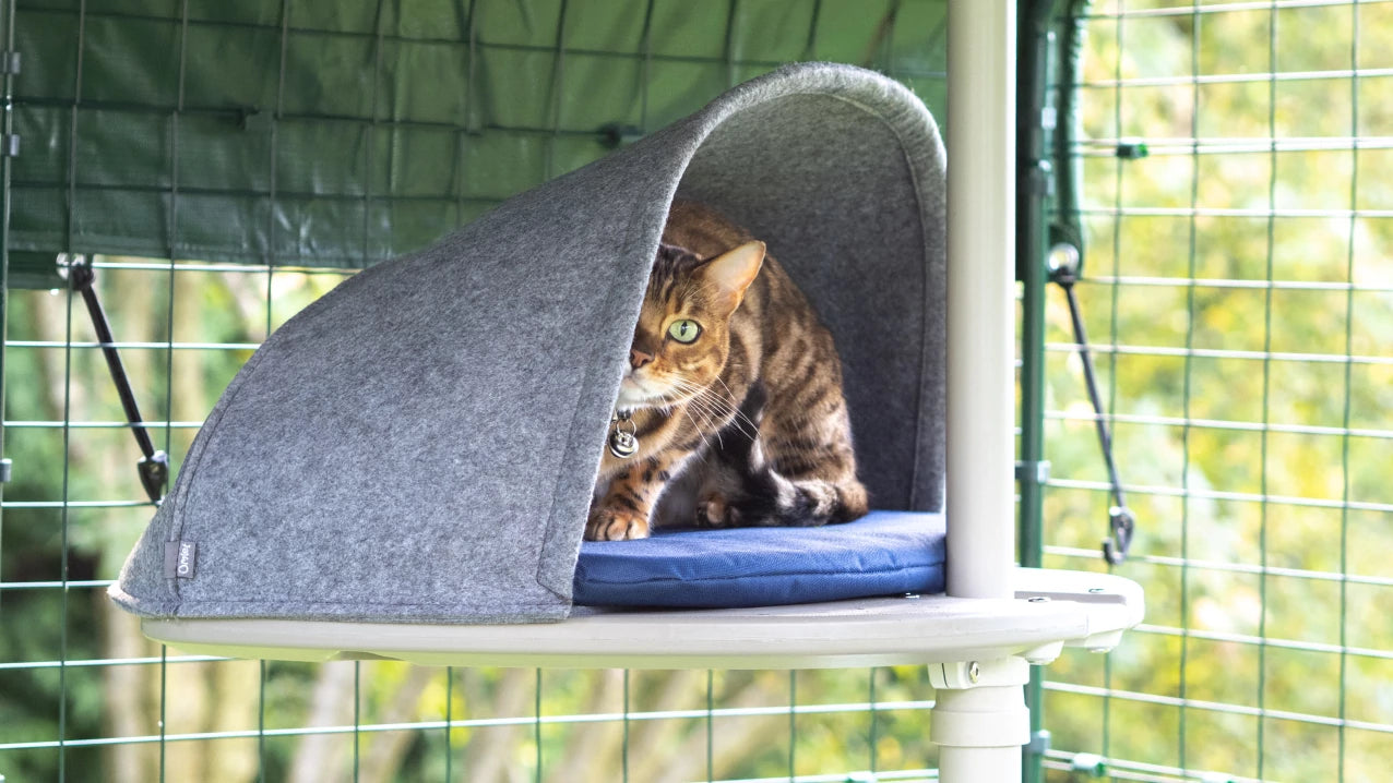 outdoor freestyle cat tree by omlet choose accessories your cat will love