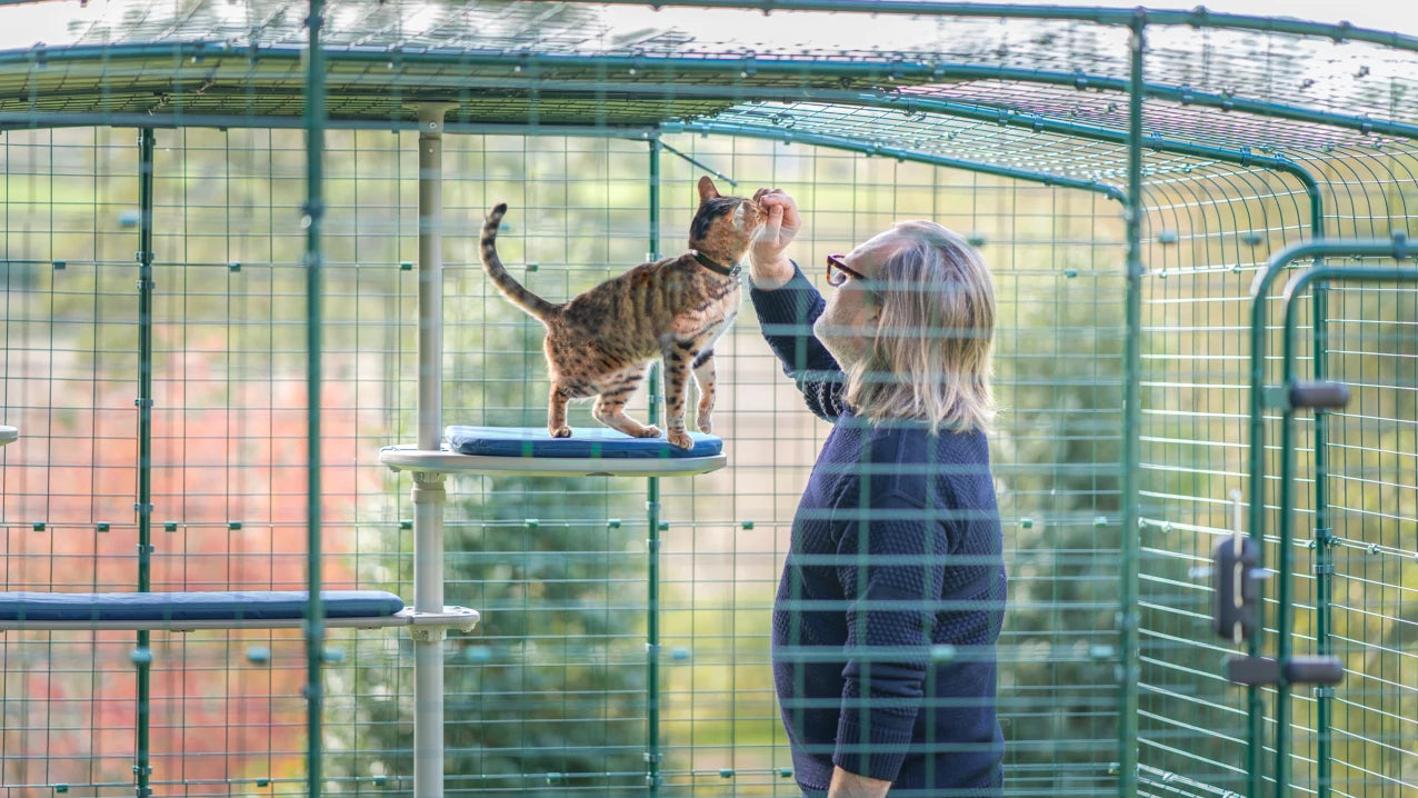 outdoor freestyle cat tree by omlet gives your cat stimulation and fresh air