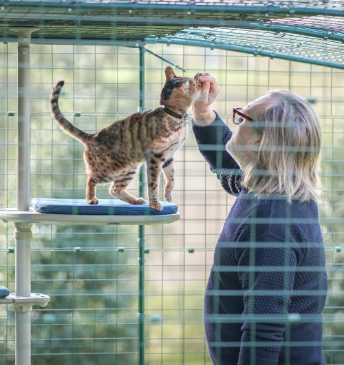 Together Time The Freestyle Outdoor cat tree will energize your cat, encouraging them to play and connect with you where they’re most comfortable