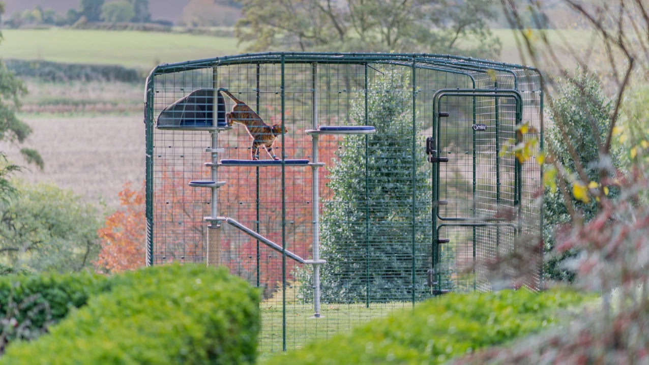 outdoor freestyle cat tree by omlet is made of high quality sustainable materials