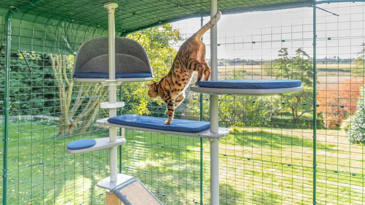 outdoor freestyle cat tree by omlet luxury ingenious design