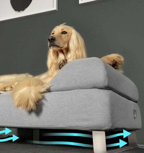raised-topology-dog-beds-by-omlet.