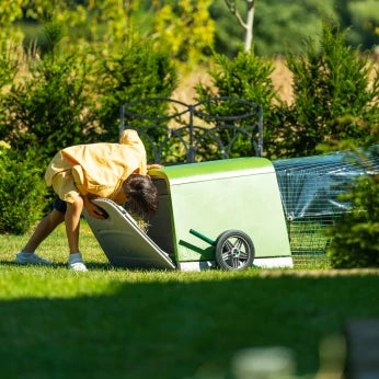 The Eglu Go back door gives easy access to the beddng tray