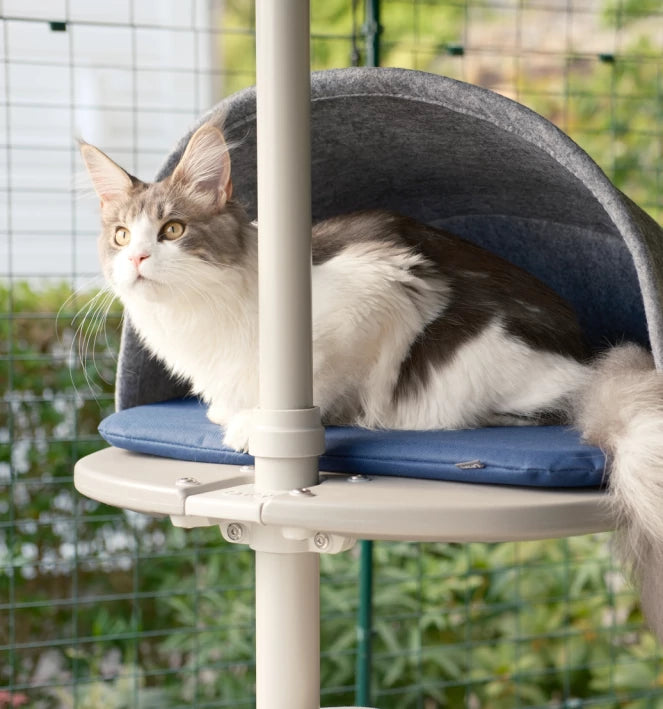 The Freestyle Cat Tree can easily be adapted and customised to suit any cat, no matter their ability.