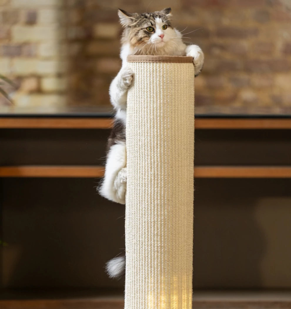 Sturdy. The Switch Cat Scratching Post